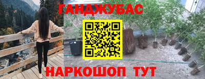 синтетический гашиш Кингисепп